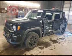 جيب رينيجيد